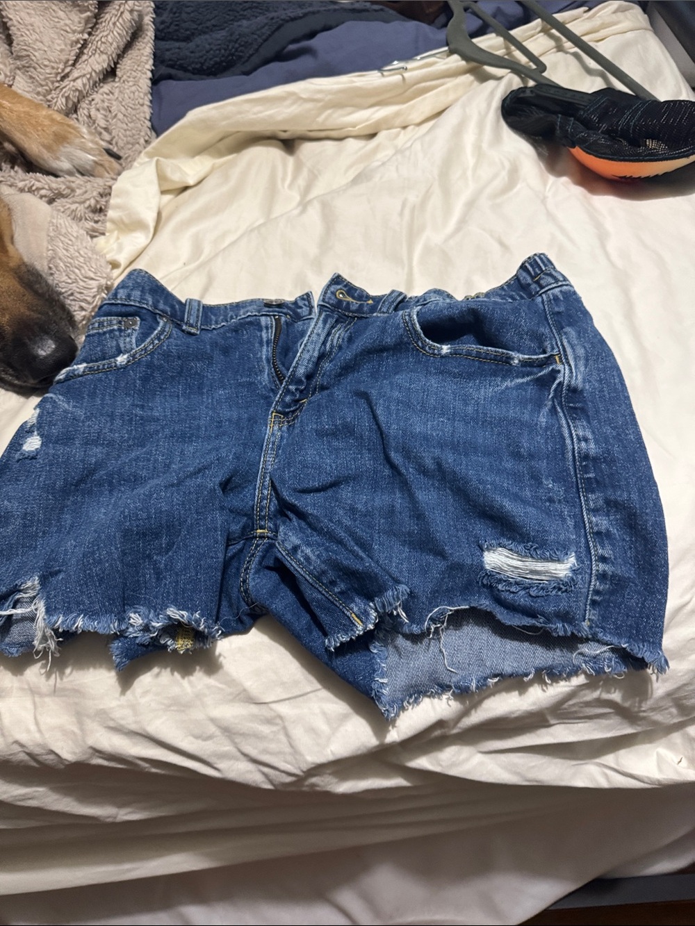 aerie Distressed Denim Cutoff Shorts - Blue